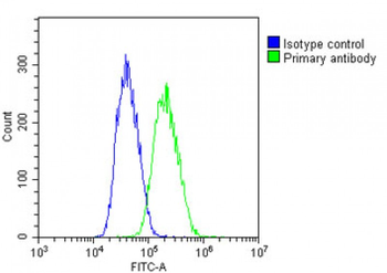 IL11 Antibody (N-Term)