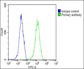 BIRC6 Antibody (C-Term)