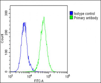 THBD Antibody (C-Term)