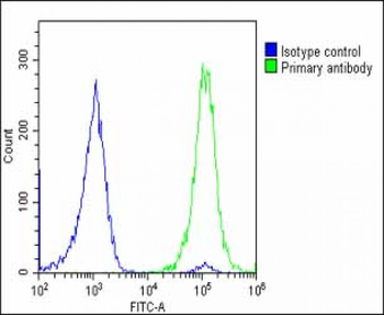 SLC2A3 Antibody (C-Term)