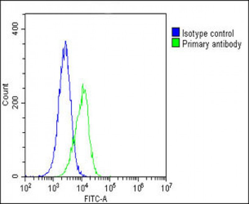 PCSK1 Antibody (C-Term)