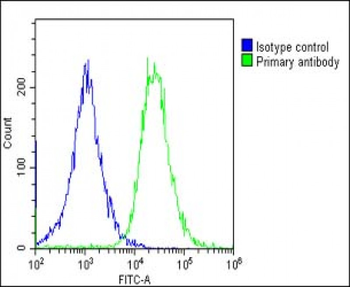 Transferrin Antibody