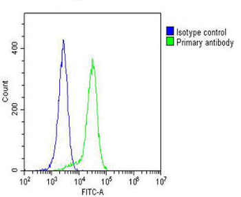 CYLD Antibody