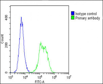 beta Tubulin Antibody