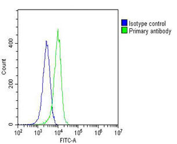 PCNA Antibody [Knockout Validated]