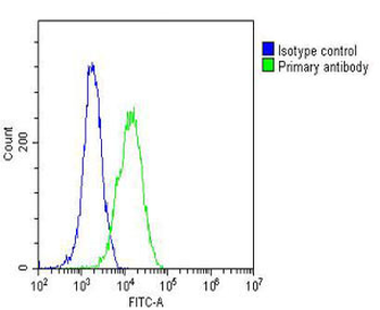 GARS Antibody