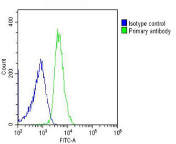 RPL14 Antibody (Center)