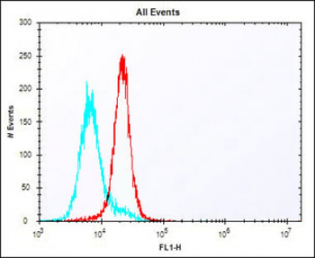 HLA-DQA1 Antibody (C-term)