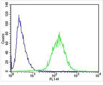 STMN2 Antibody (Center)
