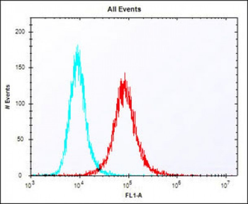 Mouse Klf4 Antibody (Center)