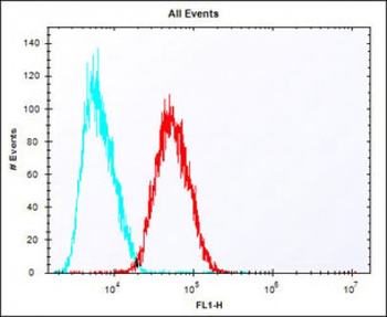 (Mouse) Epcam Antibody (C-term)