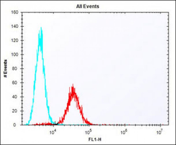 (Mouse) Tdgf1 Antibody (N-term)