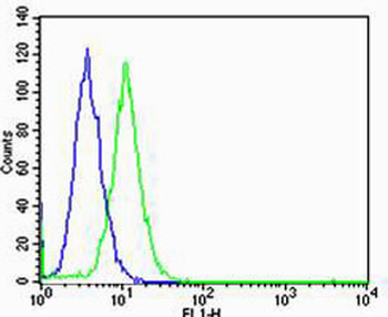 GLI2 Antibody (C-term)