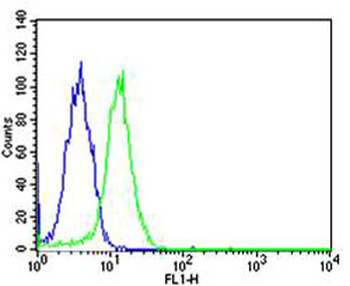 SP1 Antibody
