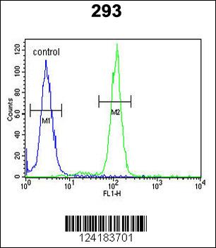OST alpha Antibody (C-term)