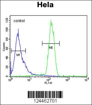 TMEM173 Antibody (C-term)