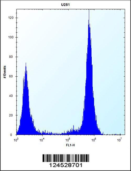 TLR4 Antibody (Center)