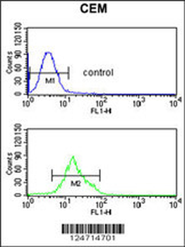 TCHP Antibody (Center)