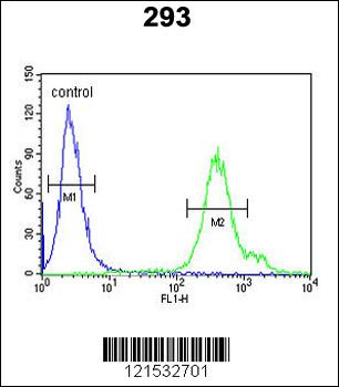 REG3A Antibody (N-term)
