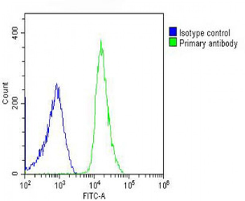 CDC73 Antibody (Center)