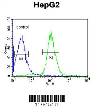 DIPA Antibody (Center)