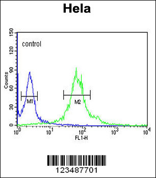 IPO11 Antibody (N-term)