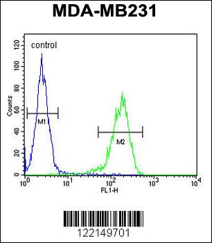 YWHAZ Antibody (Center)