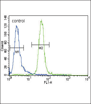 MUSK Antibody (N-term)