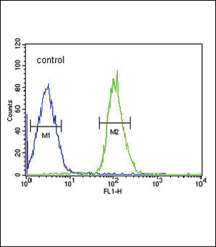 FGFR1 Antibody