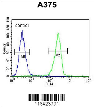 LUM Antibody (Center)