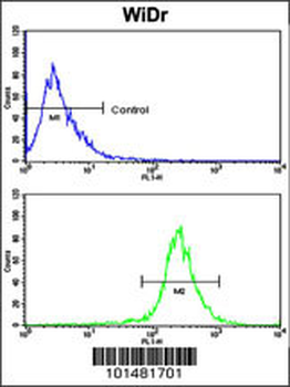 AXL Antibody (N-term)