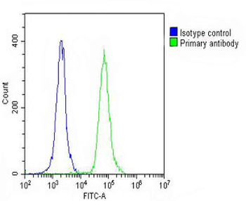 CD31 Antibody (C-term)