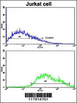 COG4 Antibody (C-term)