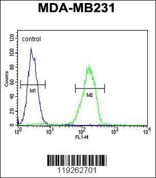 CTSS Antibody (Center)