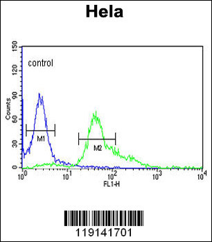S100A6 Antibody (C-term)