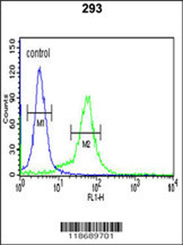 BTBD1 Antibody (Center)