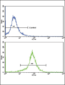 SOD3 Antibody (N-term)