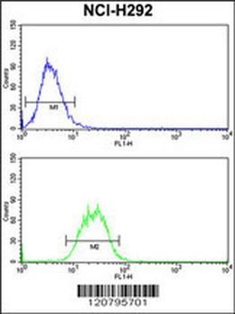 SNRPD2 Antibody (N-term)