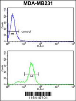 KRT14 Antibody (Center)
