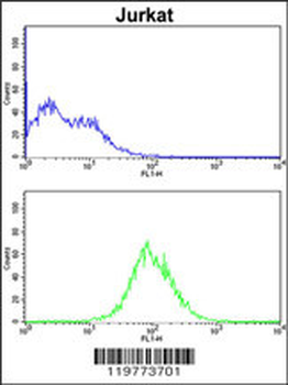 CDCA3 Antibody (N-term)