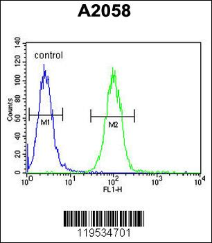 Annexin A1 Antibody (Center)