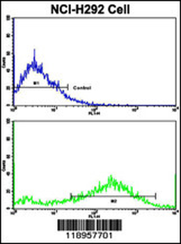 SPP1 Antibody (C-term)
