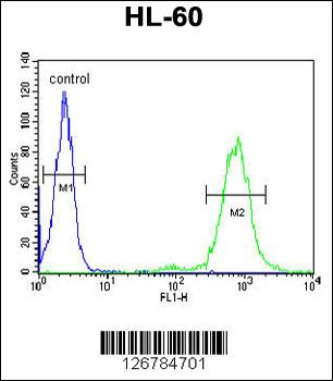 CD69 Antibody (Center)