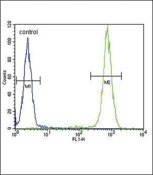 IL4 Antibody (C-term)