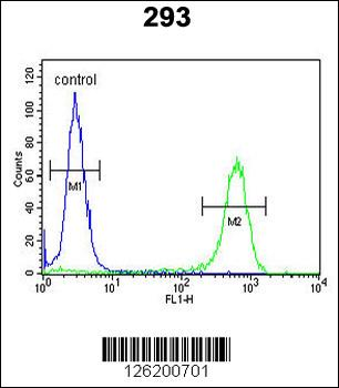 JHDM1D Antibody (Center)