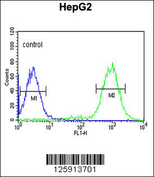 MISP Antibody (N-term)