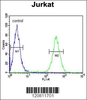 HNRPL Antibody (Center)