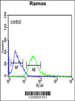 PHGDH Antibody (Center)