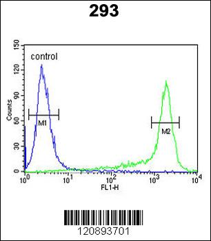 PRDX6 Antibody (Center)