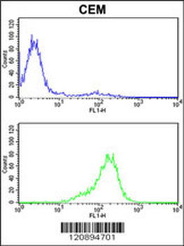 PRDX6 Antibody (C-term)
